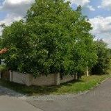 ELC&TRANSLATION SERVICES