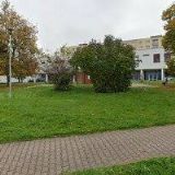 Doubravecká účetní