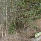 CREATIVE HOUSE s.r.o.