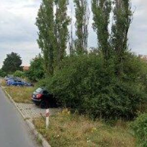 obrazek: avatar Petra Křečková   