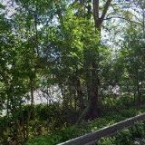 Grafické studio Minea