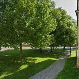 obrazek: avatar Vivaladesign