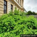 Hotelová škola Plzeň, Skvrňany