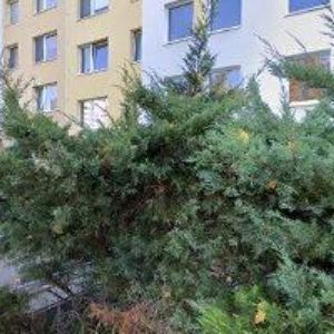 obrazek: avatar CA Dalmacijatour - Chorvatsko 
