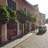 Vlasové studio Heleny Hejdukové