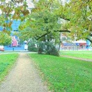 obrazek: avatar HBC Škoda Plzeň