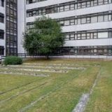 Univerzitní knihovna