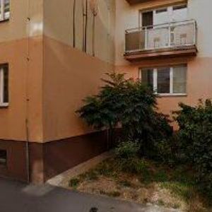 obrazek: avatar Spolek Aleš, z.s