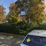 ČESKÁ PÍSEŇ PLZEŇ , o.s.