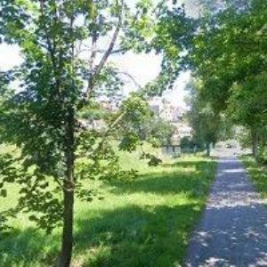 obrazek: avatar KUČEROVÁ LENKA