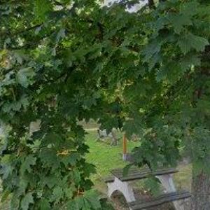 obrazek: avatar SYROVÁTKA ZDENĚK