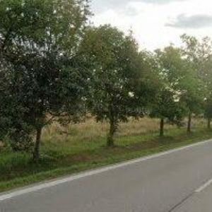 obrazek: avatar DĚBOLÍN AUTOBAZAR