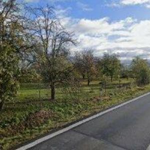 obrazek: avatar SULÁN KAREL