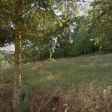 AUTOSERVIS HOMOLA s.r.o.