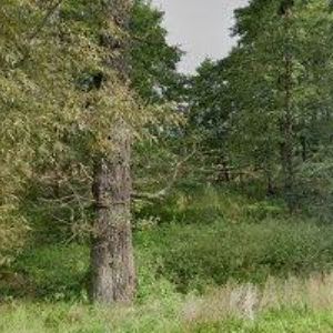 obrazek: avatar ČERMÁK KAREL-ÚKLIDOVÉ SLUŽBY