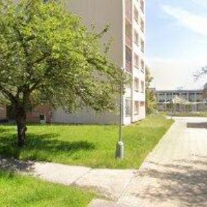 obrazek: avatar ZELINKA ROMAN