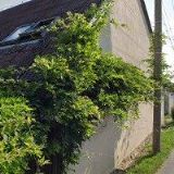 OPAVA ASSISTANCE s.r.o.