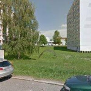 obrazek: avatar ŠOCHMAN DAVID-TAXI