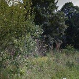 obrazek: avatar AGRA BRTNICE , a.s.