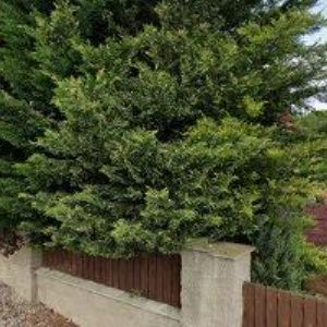 obrazek: avatar RACING, CRUISING, DIVING CLUB o.s.