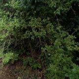 UBYTOVÁNÍ NA HÁJENCE