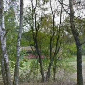 obrazek: avatar AUTOKEMP KOMORNÍK KUNŽAK