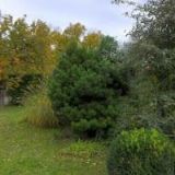 SOU SLUŽEB Vodňany