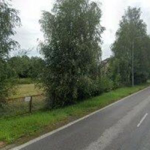 obrazek: avatar PENSION REX