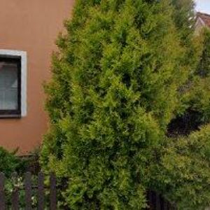obrazek: avatar ZÁVODSKÝ PENZION