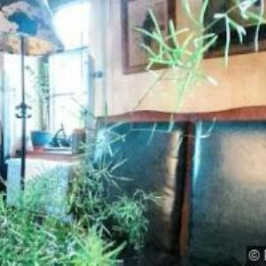obrazek: avatar HOTEL ŠUMAVA INN