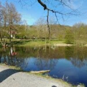 obrazek: avatar PENZION U MALÍŘSKÝCH