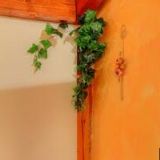 RESTAURACE A PENZION U MAXE