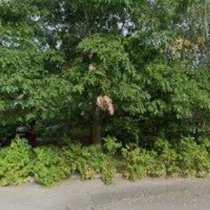 obrazek: avatar PENZION TŘEBOŇ DVORCE