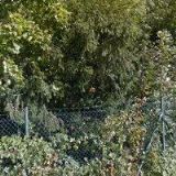 DĚTSKÝ DOMOV A ŠKOLNÍ JÍDELNA, Boršov nad Vltavou