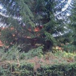 obrazek: avatar PODSKALÍ PENSION