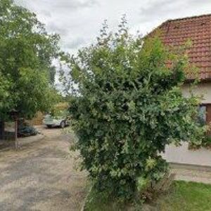 obrazek: avatar PENZION U BECHYNĚ