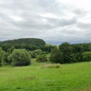 obrazek: avatar DOMEČEK U KVÍTKOVA DVORA