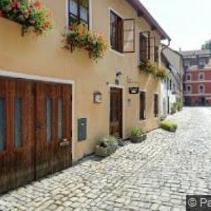 obrazek: avatar JANOTOVÁ MIROSLAVA