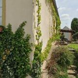 ČESKÁ HOSPODA DEŠNÁ