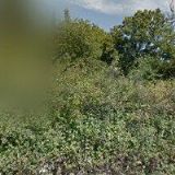 HOTEL GOLD CHOTOVINY