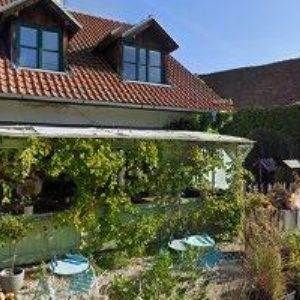 obrazek: avatar U ROUBENÉ STUDNY