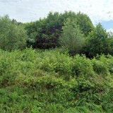 APARTMÁNY U MACHÁČKŮ