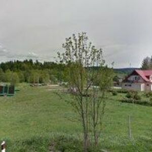 obrazek: avatar TRAJER STANISLAV