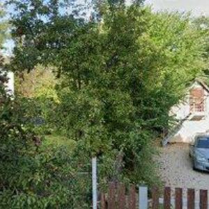 obrazek: avatar UBYTOVÁNÍ U NEŽÁRKY