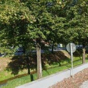 obrazek: avatar LESY OBCÍ TRHOVÉ SVINY A BESEDNICE s.r.o.