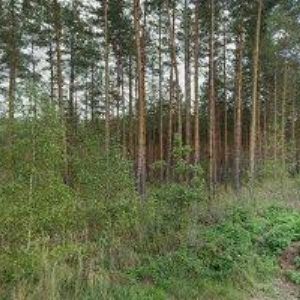 obrazek: avatar PENZION JEZÁRKO