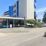 BUDĚJOVICKÝ BUDVAR ,