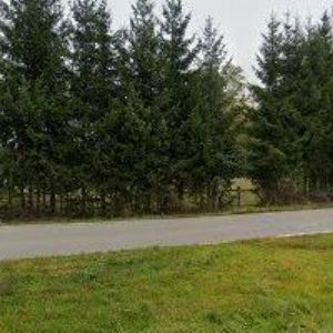 obrazek: avatar ŠKOTKOVÁ JANA