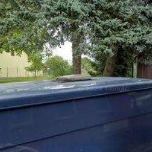 obrazek: avatar PENZION A RESTARUACE DANIEL