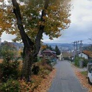 obrazek: avatar SŠ Vimperk-DOMOV MLÁDEŽE